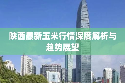 陕西最新玉米行情深度解析与趋势展望