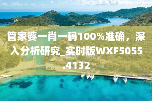 管家婆一肖一码100%准确，深入分析研究_实时版WXF5055.4132