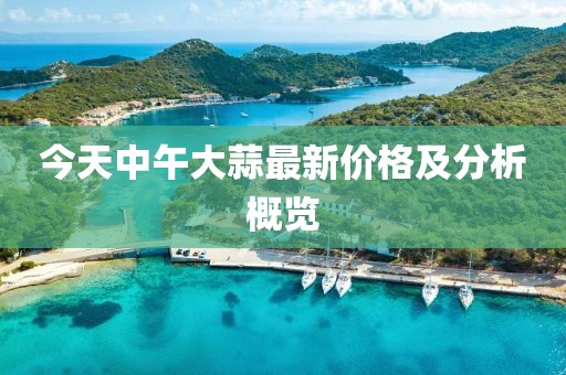 今天中午大蒜最新价格及分析概览