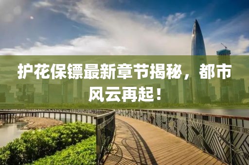 护花保镖最新章节揭秘，都市风云再起！