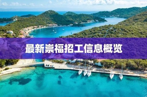 最新崇福招工信息概览