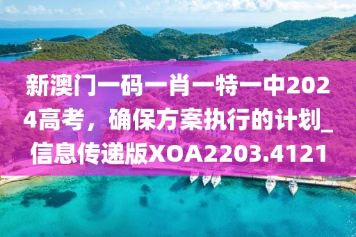 新澳门一码一肖一特一中2024高考，确保方案执行的计划_信息传递版XOA2203.4121