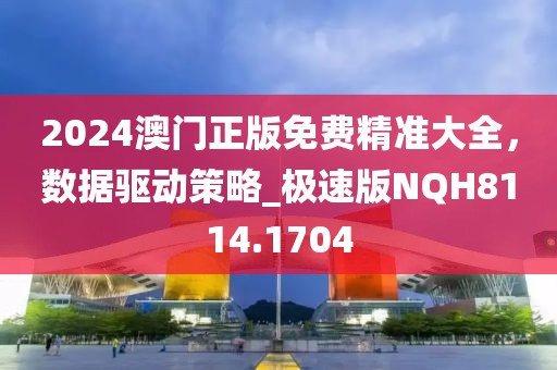 2024澳门正版免费精准大全，数据驱动策略_极速版NQH8114.1704