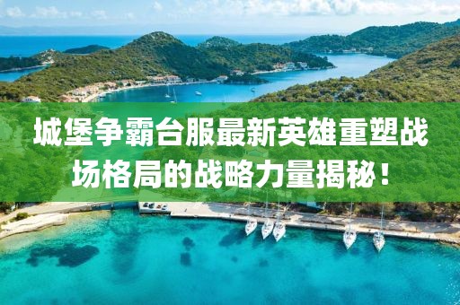 城堡争霸台服最新英雄重塑战场格局的战略力量揭秘！