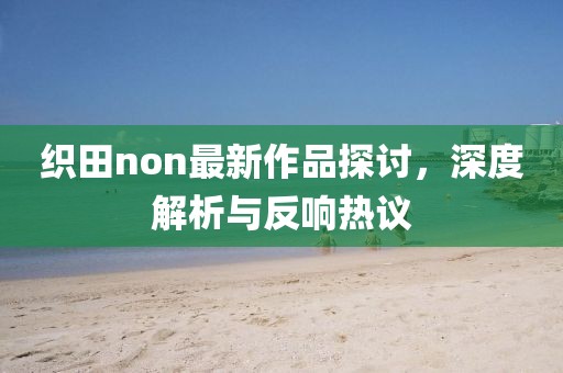 织田non最新作品探讨，深度解析与反响热议
