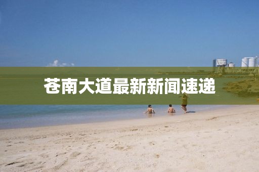 苍南大道最新新闻速递