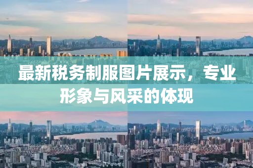 最新税务制服图片展示，专业形象与风采的体现