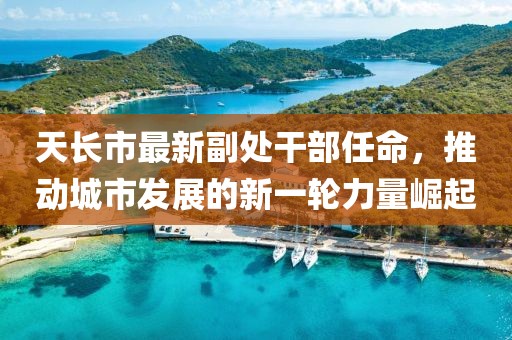 风铃仙子 第8页