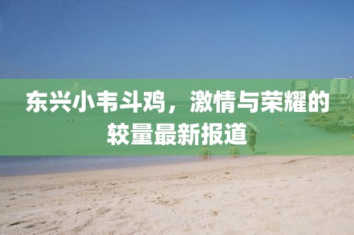 东兴小韦斗鸡，激情与荣耀的较量最新报道