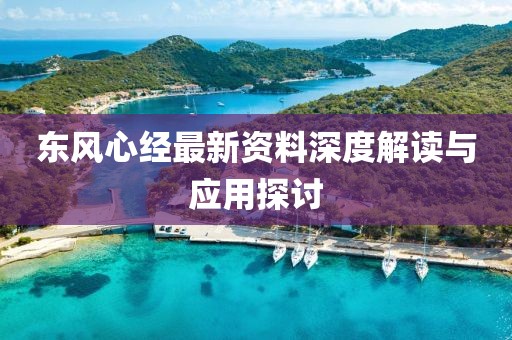 东风心经最新资料深度解读与应用探讨