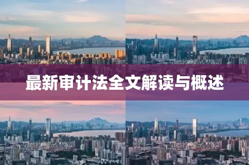 最新审计法全文解读与概述
