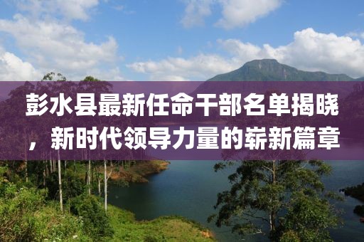 青苓菀 第9页