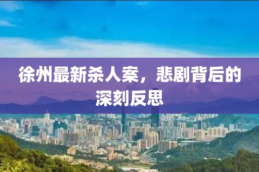徐州最新杀人案，悲剧背后的深刻反思