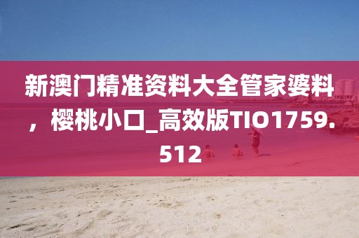 新澳门精准资料大全管家婆料，樱桃小口_高效版TIO1759.512