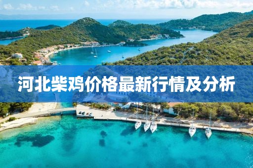 河北柴鸡价格最新行情及分析