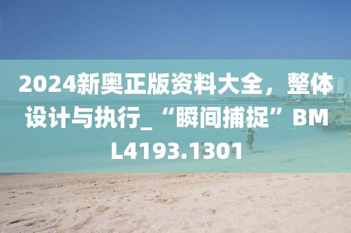 2024新奥正版资料大全，整体设计与执行_“瞬间捕捉”BML4193.1301