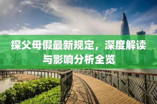 探父母假最新规定，深度解读与影响分析全览