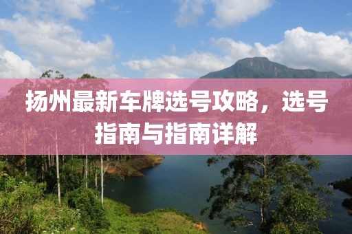扬州最新车牌选号攻略，选号指南与指南详解