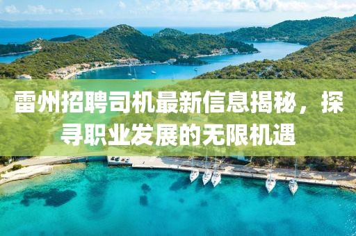 雷州招聘司机最新信息揭秘，探寻职业发展的无限机遇