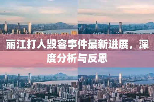 丽江打人毁容事件最新进展，深度分析与反思