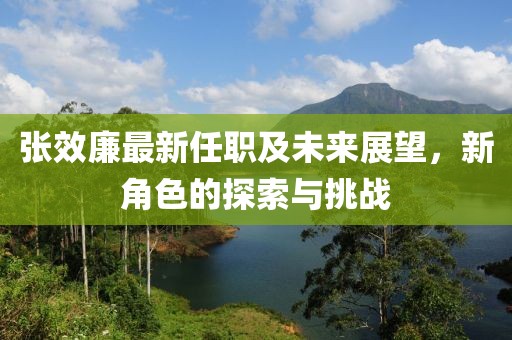 张效廉最新任职及未来展望，新角色的探索与挑战
