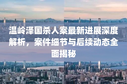 温岭泽国杀人案最新进展深度解析，案件细节与后续动态全面揭秘