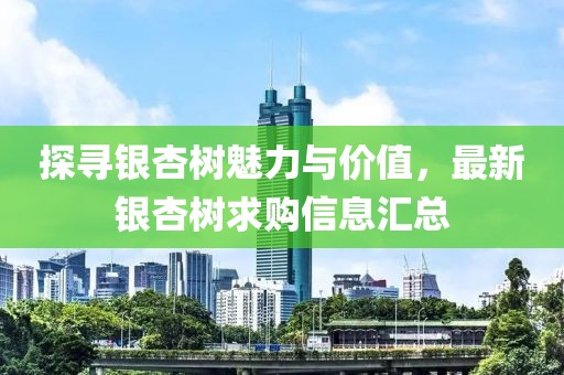 探寻银杏树魅力与价值，最新银杏树求购信息汇总