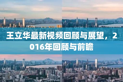 王立华最新视频回顾与展望，2016年回顾与前瞻