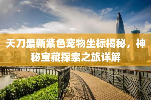 天刀最新紫色宠物坐标揭秘，神秘宝藏探索之旅详解