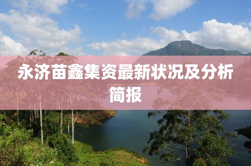 永济苗鑫集资最新状况及分析简报