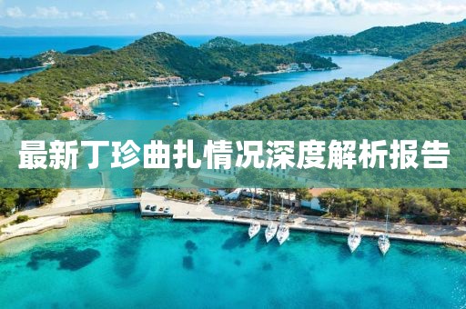 最新丁珍曲扎情况深度解析报告