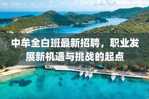 中牟全白班最新招聘，职业发展新机遇与挑战的起点