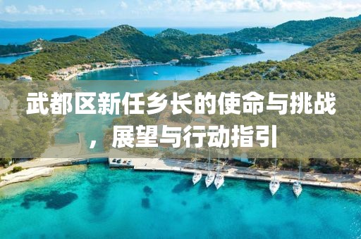 武都区新任乡长的使命与挑战，展望与行动指引