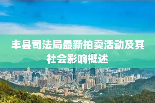 丰县司法局最新拍卖活动及其社会影响概述