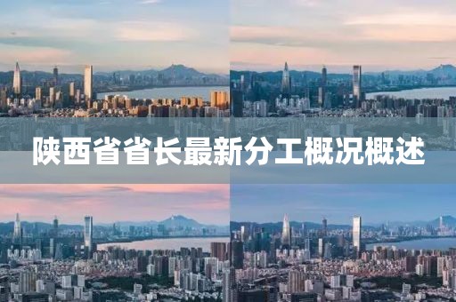 陕西省省长最新分工概况概述