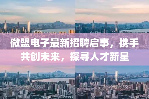 微盟电子最新招聘启事，携手共创未来，探寻人才新星