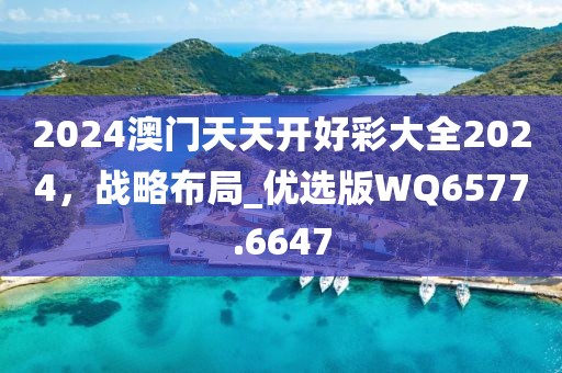 2024澳门天天开好彩大全2024，战略布局_优选版WQ6577.6647