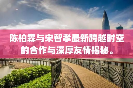 陈柏霖与宋智孝最新跨越时空的合作与深厚友情揭秘。