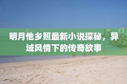 明月他乡照最新小说探秘，异域风情下的传奇故事