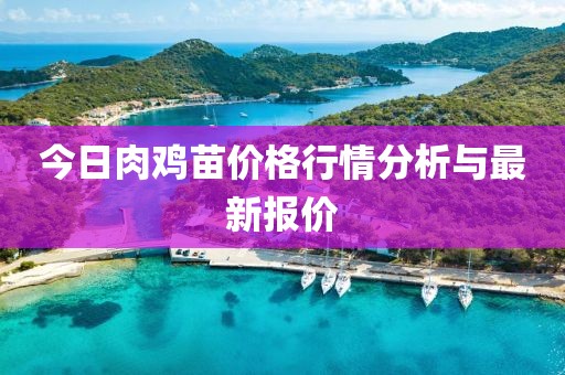 今日肉鸡苗价格行情分析与最新报价
