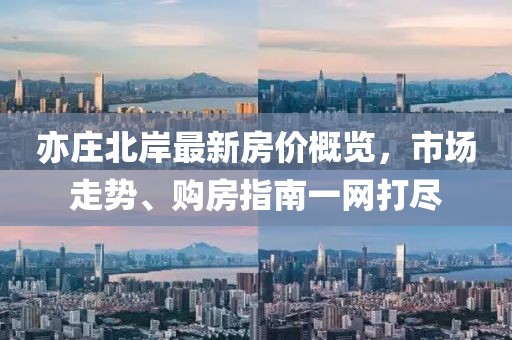 2025年2月 第12页