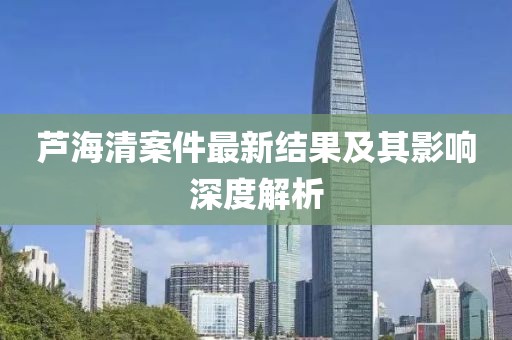 芦海清案件最新结果及其影响深度解析