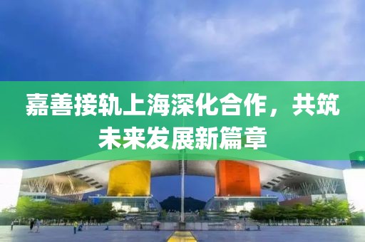 嘉善接轨上海深化合作，共筑未来发展新篇章