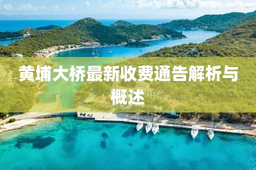 黄埔大桥最新收费通告解析与概述
