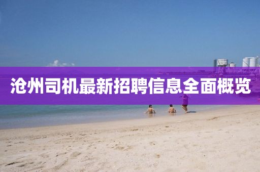 沧州司机最新招聘信息全面概览