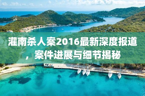 灌南杀人案2016最新深度报道，案件进展与细节揭秘