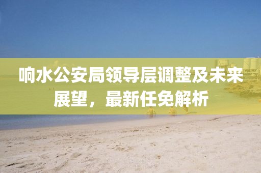 响水公安局领导层调整及未来展望，最新任免解析
