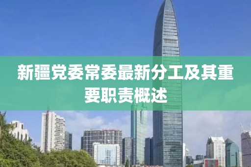 新疆党委常委最新分工及其重要职责概述