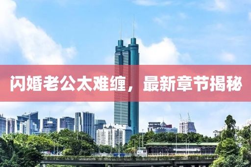 闪婚老公太难缠，最新章节揭秘