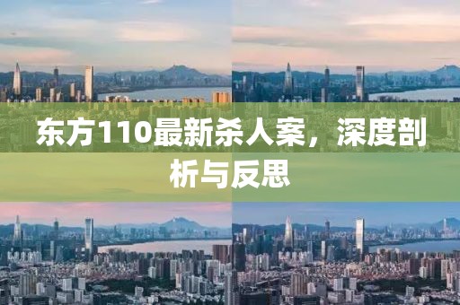 东方110最新杀人案，深度剖析与反思